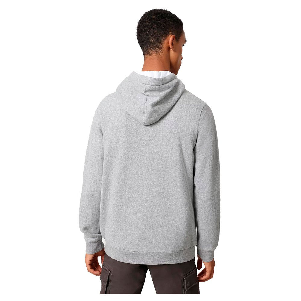 Sweat Capuche Napapijri Burgee - Gris